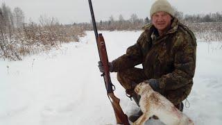 Заяц по первому снегу 2019.МР-153