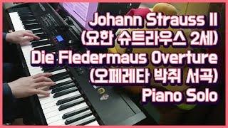 Johann Strauss Jr. 「Die Fledermaus Overture」 piano play by 앙뮤(angmyu)