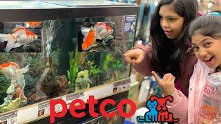 Getting 5 fish shopping at Petco