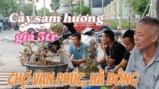 Chợ hoa cây cảnh Vạn Phúc một sớm đầu Đông