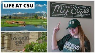 What is it like going to Colorado State University? | Academics, Admissions, Campus & More! | Grace