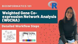 Weighted Gene Co-expression Network Analysis (WGCNA) Detailed Workflow Steps | Bioinformatics 101