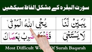 Surah Al  Baqarah K Mushkill Alfaaz/ Difficult words of quran pak /Noor ul Quran Daily