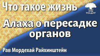 Алаха о пересадке органов. Р. Мордехай Райхинштейн.