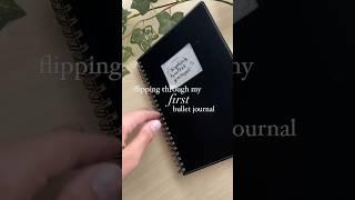 my FIRST bullet journal  bullet journal flip through spread ideas for bujo beginners