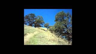 Shane Barker | Trail Running | Unstoppable
