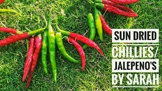 How to Dry Chillies| Life of a Chilli|Sun Dried Chillies| Sun dried Jalepeno's|The Sarra Channel|