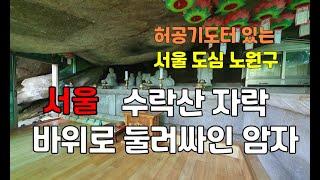 [서울사찰매매] 노원구 상계동/수락산 자락 4.8억 암자(절)토굴 기도터 법당 굿당