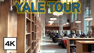 What's it like to go to Yale? · Inside and Outside Walk · 4K