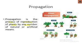 What is Propagation ।। "Learn with AB Tusar"