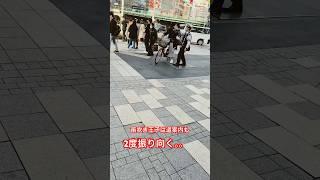 警察　道案内中！！説明が分からず2度振り向く女性  #パトロール #警備 #police #警察庁 #警察 b#police #パトカー#はたらくくるま