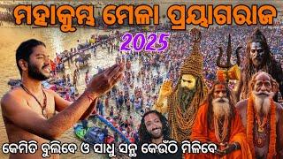 Maha Kumbh Mela Prayagraj 2025 | Kumbh Mela Prayagraj | Triveni Sangam | ମହାକୁମ୍ଭ ମେଳା ପ୍ରୟାଗରାଜ.