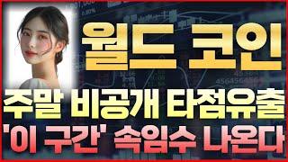 [월드 코인] 속보! 주말 비공개 타점유출! '이 구간' 속임수 나온다