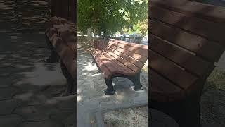 Новочеркасск.Платовский Обновляется
