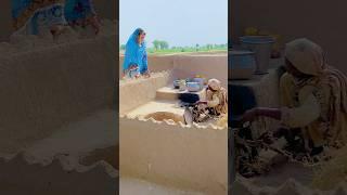 Look how women working in desert of cholistan #azraimran #desert #villages #villagelife #love