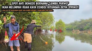 SPOT ANTI BONCOS YAITU " LEMBU PURWO"!! Mancing ikan belanak umpan tepung di Lembu Purwo Kebumen