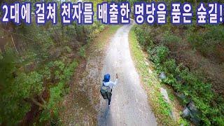 왕을 두명이나  배출한 명당을 품은 숲길/걷기 좋은 숲길/가을트레킹