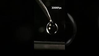 Invincible water. The Leidenfrost Effect. Macro. Slow Mo.  #shorts #slowmo