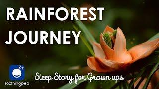 Bedtime Sleep Stories |  A Journey through Magical Rainforest  | Edutainment Relaxing Sleep Story