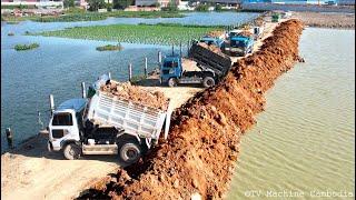 Amazing Opening New ZONE & Experience Operating Of Project Filling Land Dozer Leveling Into Water