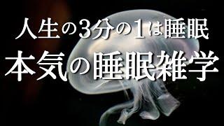 【生涯睡眠時間は28年】睡眠用雑学の決定版！ 心地良い眠れる雑学