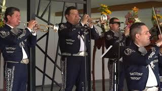 MARIACHI NUEVO TECALITLÁN / LA FERIA DE LAS FLORES