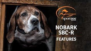 SportDOG Brand® NoBark SBC-R :: Features