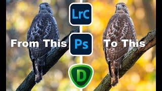 Step-by-step from RAW to FINISHED image using Lightroom, Photoshop, and Topaz DeNoise AI