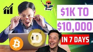 $10,000 in 7 Days!!!! Trading DOGE with Stonksy Indicator 