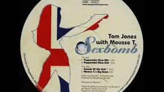 Tom Jones & Mousse T - SexBomb (Peppermint Disco Mix) 1999