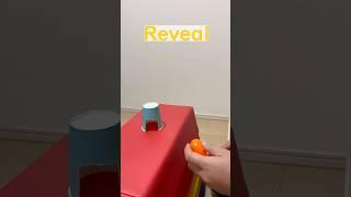 Yuzuki funny video | YUZUKI Best TikTok May 2025 Part 261 #Yuzuki #TikTok