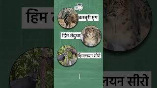 Dachigam National Park | Hangul | Map in Short | Amrit Upadhyay | UPSC 2024 | StudyIQ IAS हिंदी