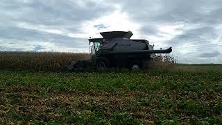 2023 Corn Harvest has Started!