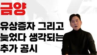 금양 유상증자 공시 분석과 광물 매출 지연 영업익 대폭 하향 늦은 추가 공지에 아쉬움.. 하지만 장기적 성장성은 남아있다