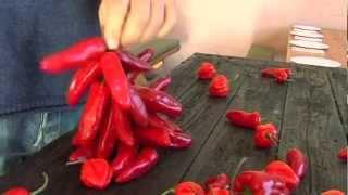 How to dry and string chillies