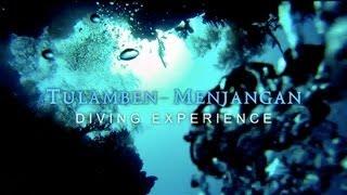 Tulamben-Menjangan - Diving Experience