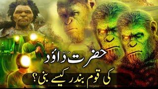 How did the people of Hazrat Dawood (as) become monkeys? | hazrat dawood as ka waqia |#qasasulislam