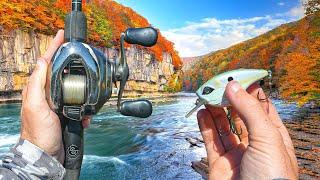 Fishing A LOADED River For HUNGRY Fall Bass - Crazy Day