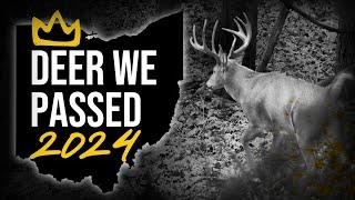 Deer we passed in 2024 (Ohio Season Recap)