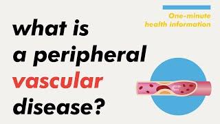 [Health Information] What is a peripheral vascular disease (PVD)?