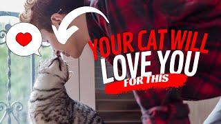 10 Ways to Tell Your Cat 'I Love You'  - So that They Love You Back