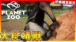 把螞蟻當飯吃大食蟻獸【動物園之星 Planet Zoo】怎麼可以打老婆呢!? 全字幕 #34