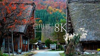 [8K] Autumn leaves of Shirakawa-go, one of Japan's three most unexplored regions