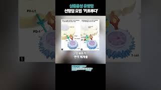 삼중음성 유방암 선항암 요법 키트루다!? #유방암서브타입 #삼중음성 #항암치료