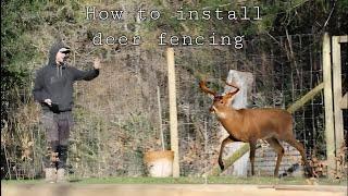 How to install deer fencing