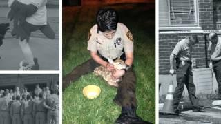 St. Louis County Police: Celebrating 60 Years