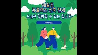 새솔동 듀플렉스ㅣ 도심속 힐링 할 수 있는 나만의 단독주택 전세를 소개합니다.