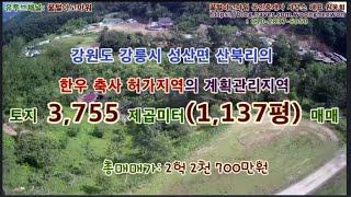 강릉시 성산면 산북리 토지 매매 축사 허가지역 계획관리지역 토지 1,137평 매매(협의가능)