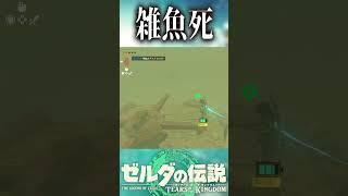 世界で一番しょーもない死に方をする勇者ｗｗｗ【ゼルダの伝説　ティアーズ オブ ザ キングダム】