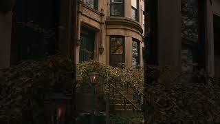 How to add moody fall in Capcut/ Capcut tutorial #capcut #capcutedit #capcuttutorial #viral #trend